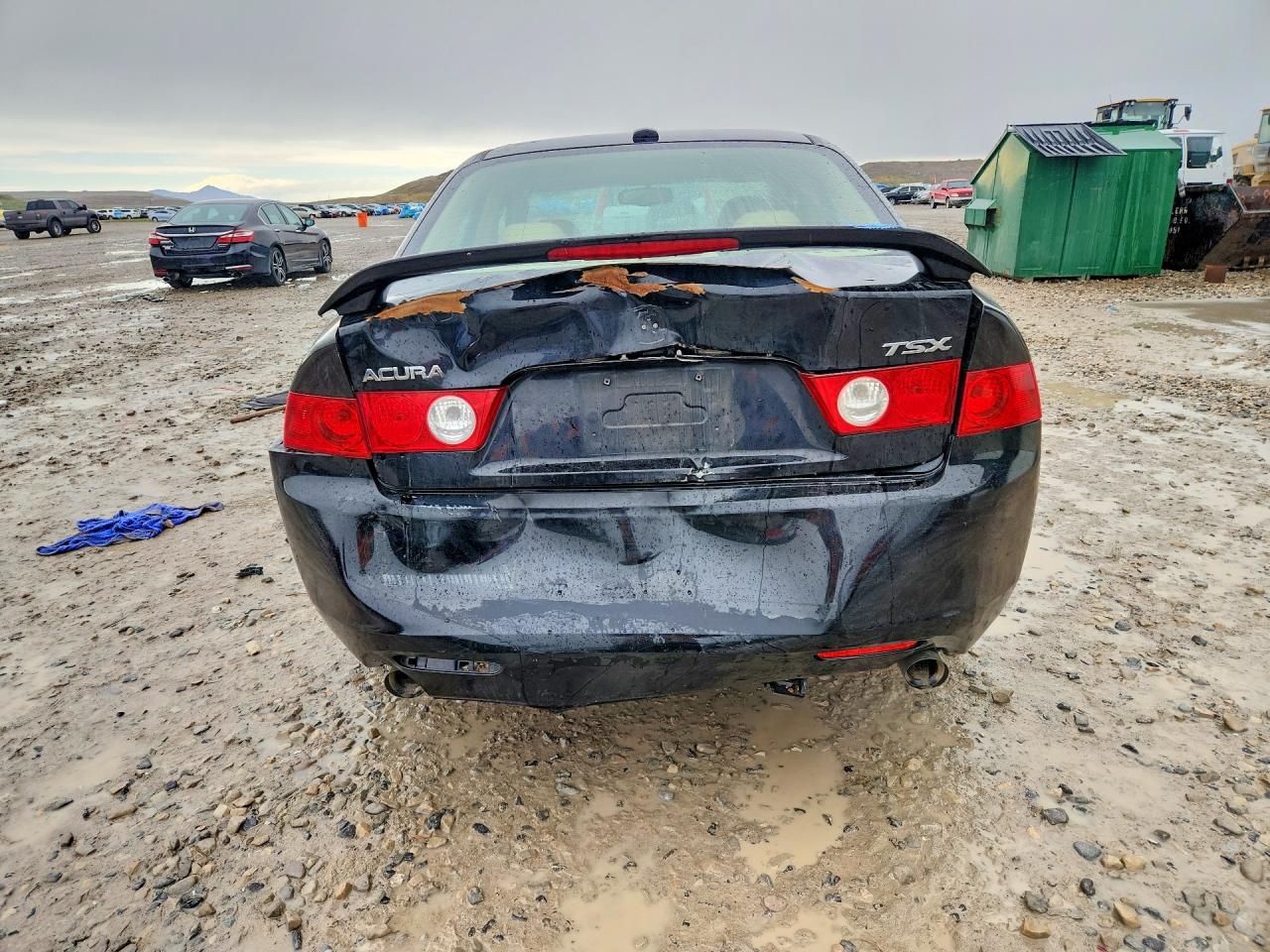 2005 Acura Tsx Black vin: JH4CL96835C027848
