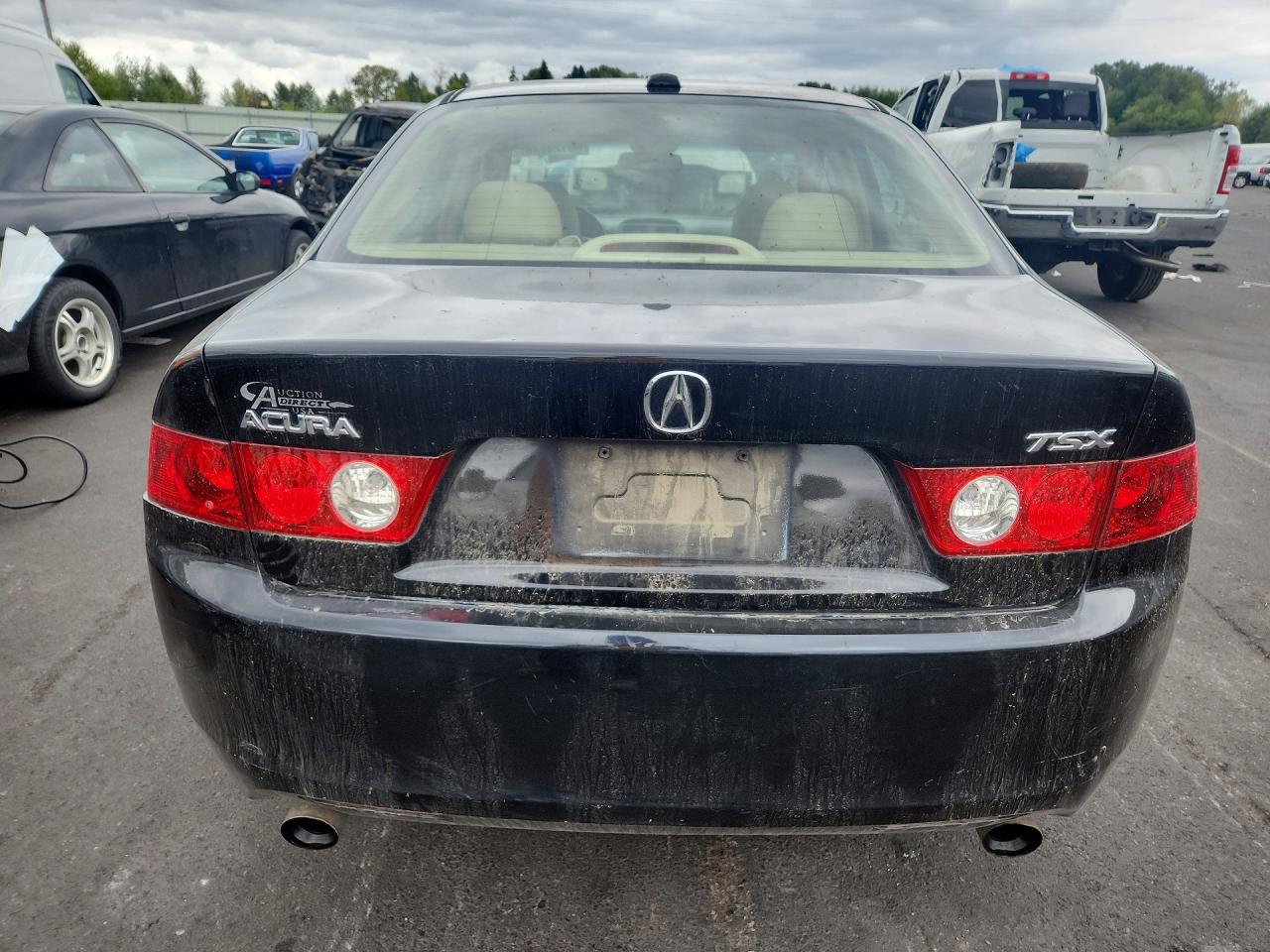 2005 Acura Tsx Черный vin: JH4CL96835C032239