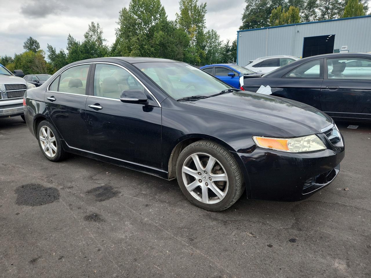 2005 Acura Tsx Черный vin: JH4CL96835C032239