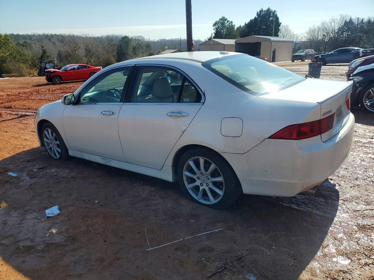 2006 Acura Tsx White vin: JH4CL96836C033893