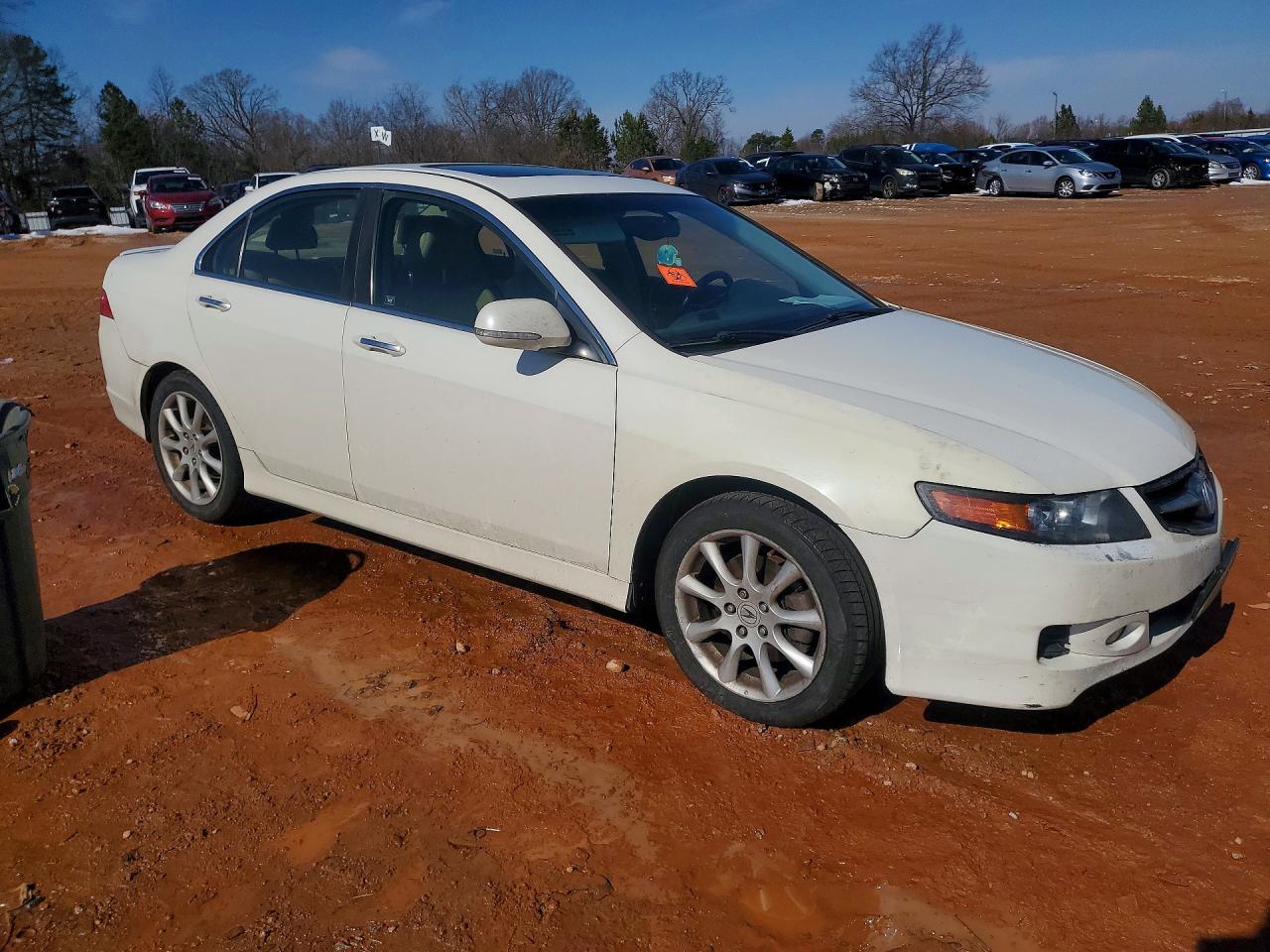 2006 Acura Tsx White vin: JH4CL96836C033893