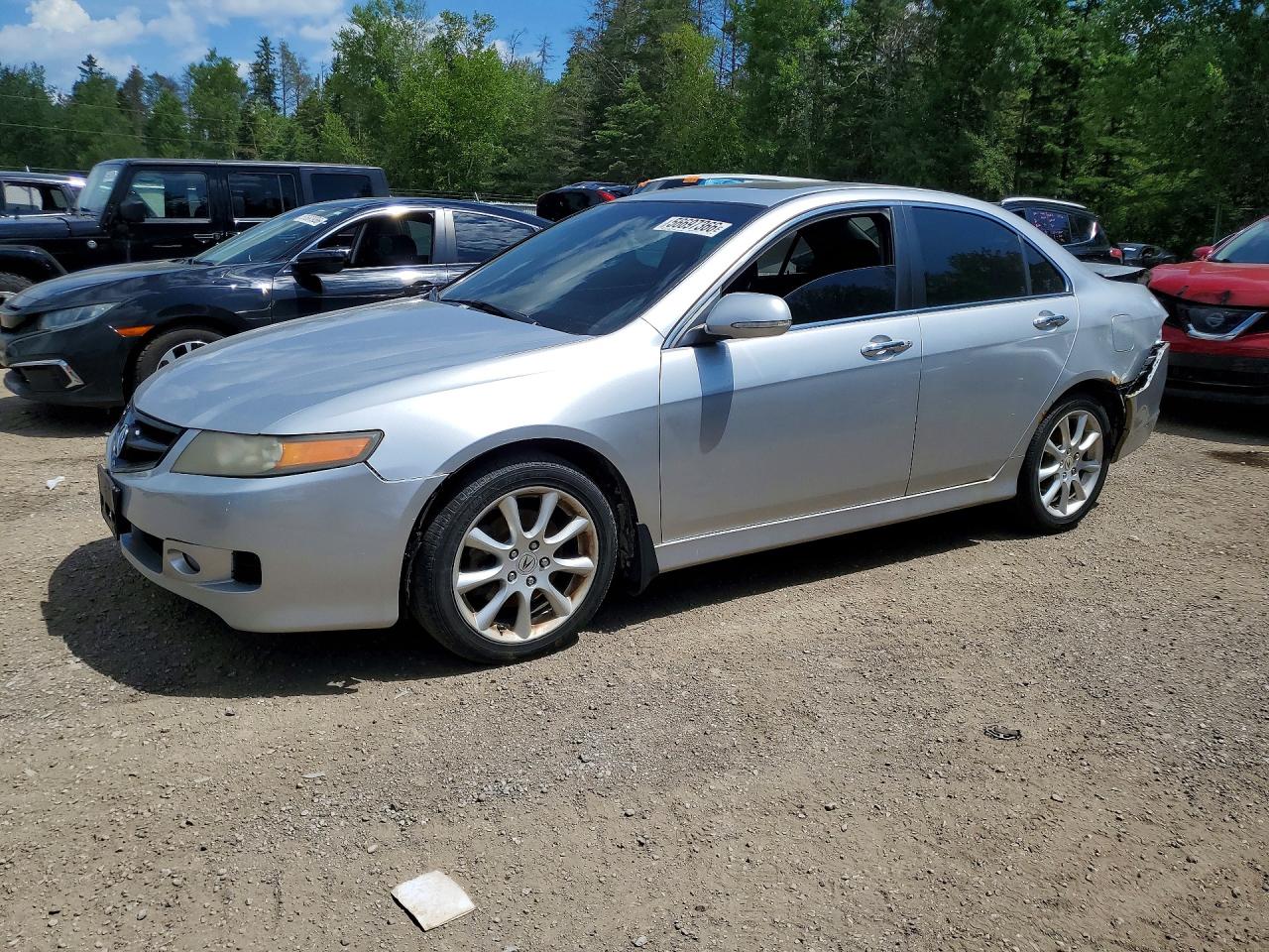 2006 Acura Tsx Серебряный vin: JH4CL96836C801422