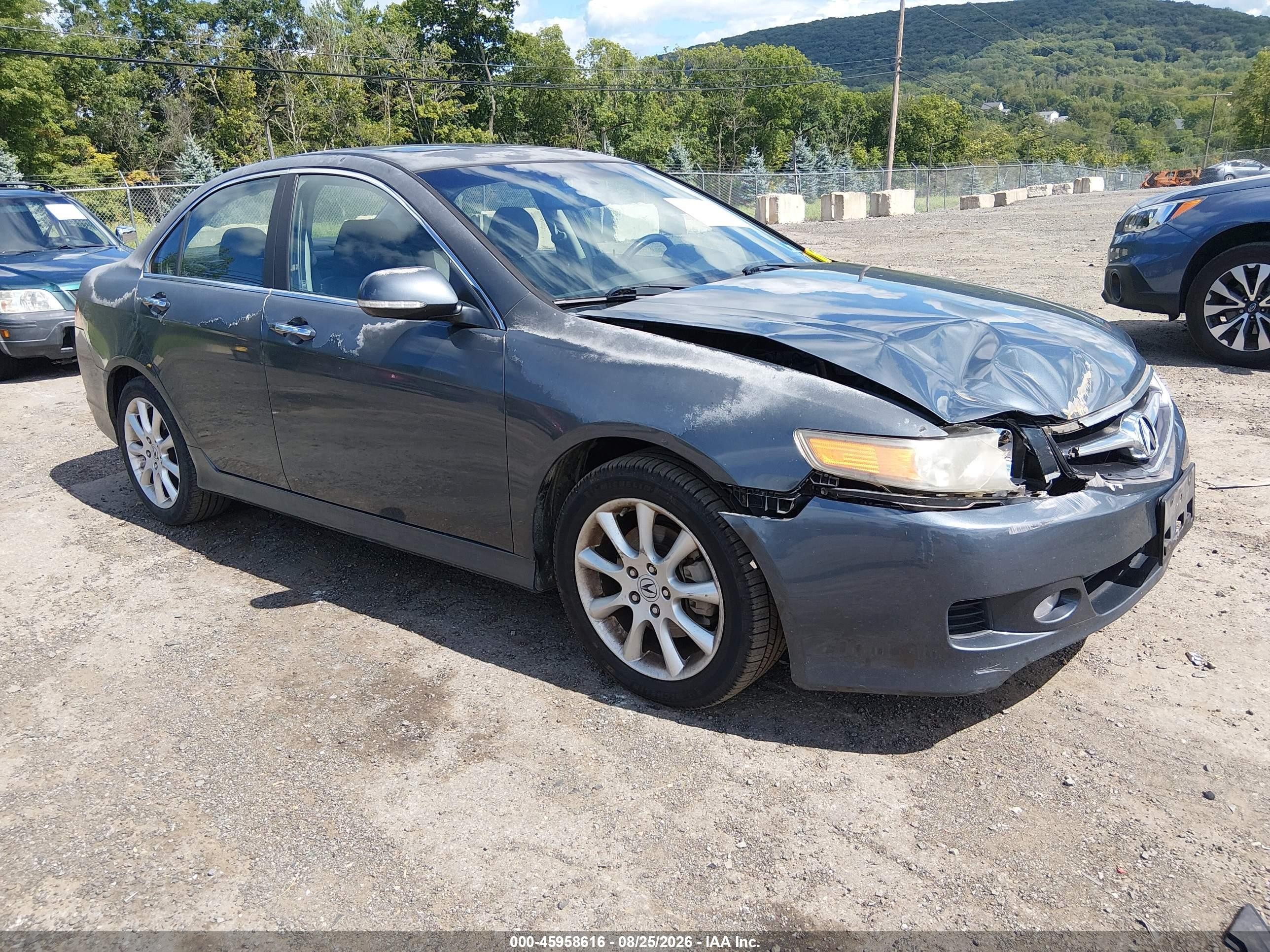 2008 Acura Tsx   Gray vin: JH4CL96838C005420