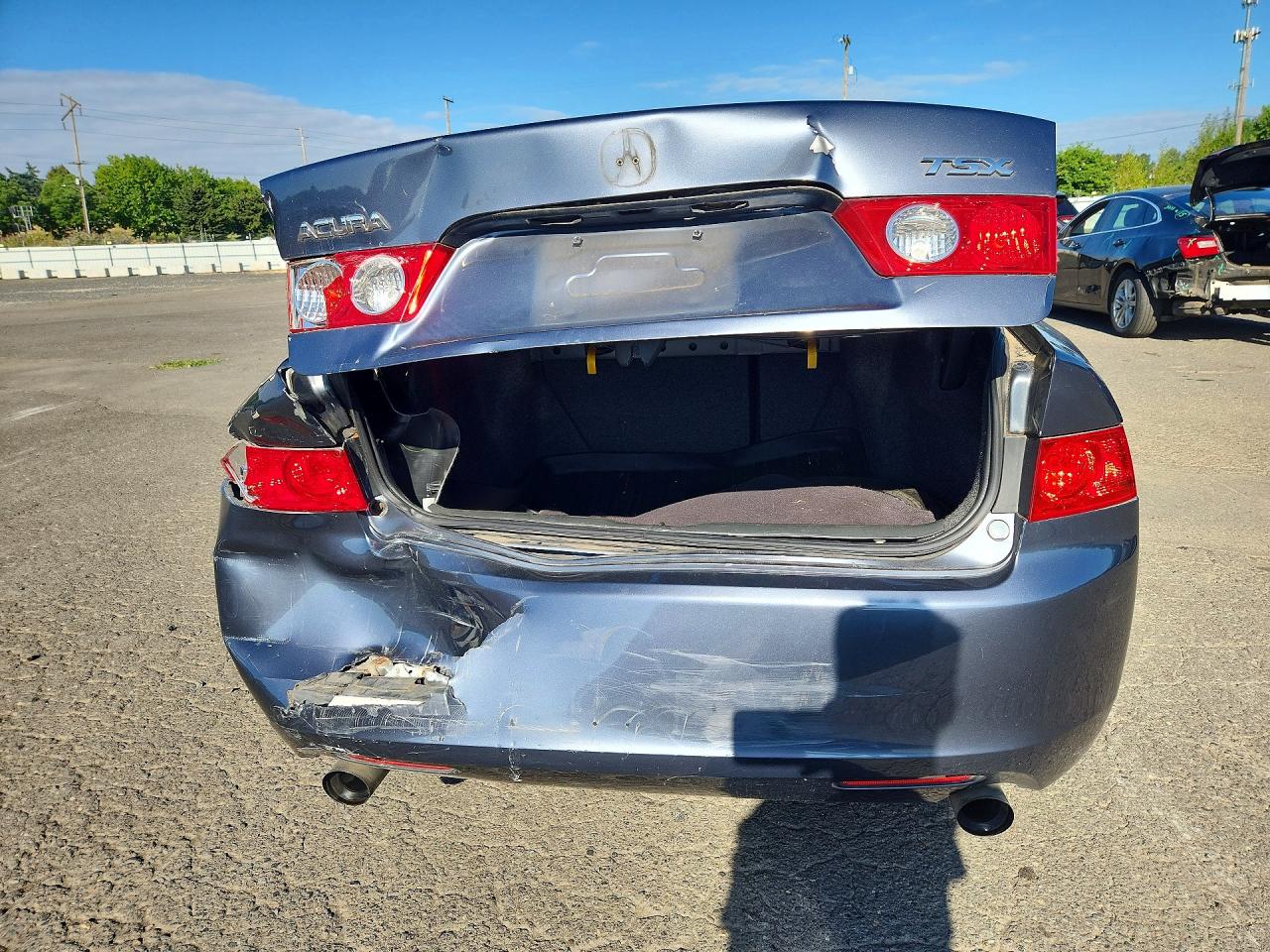 2005 Acura Tsx Серый vin: JH4CL96845C005910