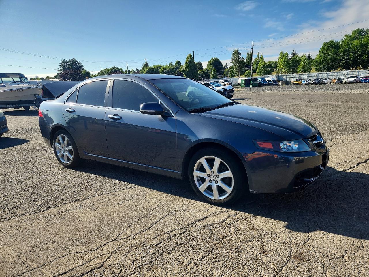 2005 Acura Tsx Серый vin: JH4CL96845C005910