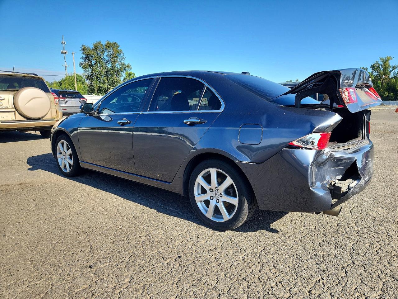 2005 Acura Tsx Серый vin: JH4CL96845C005910