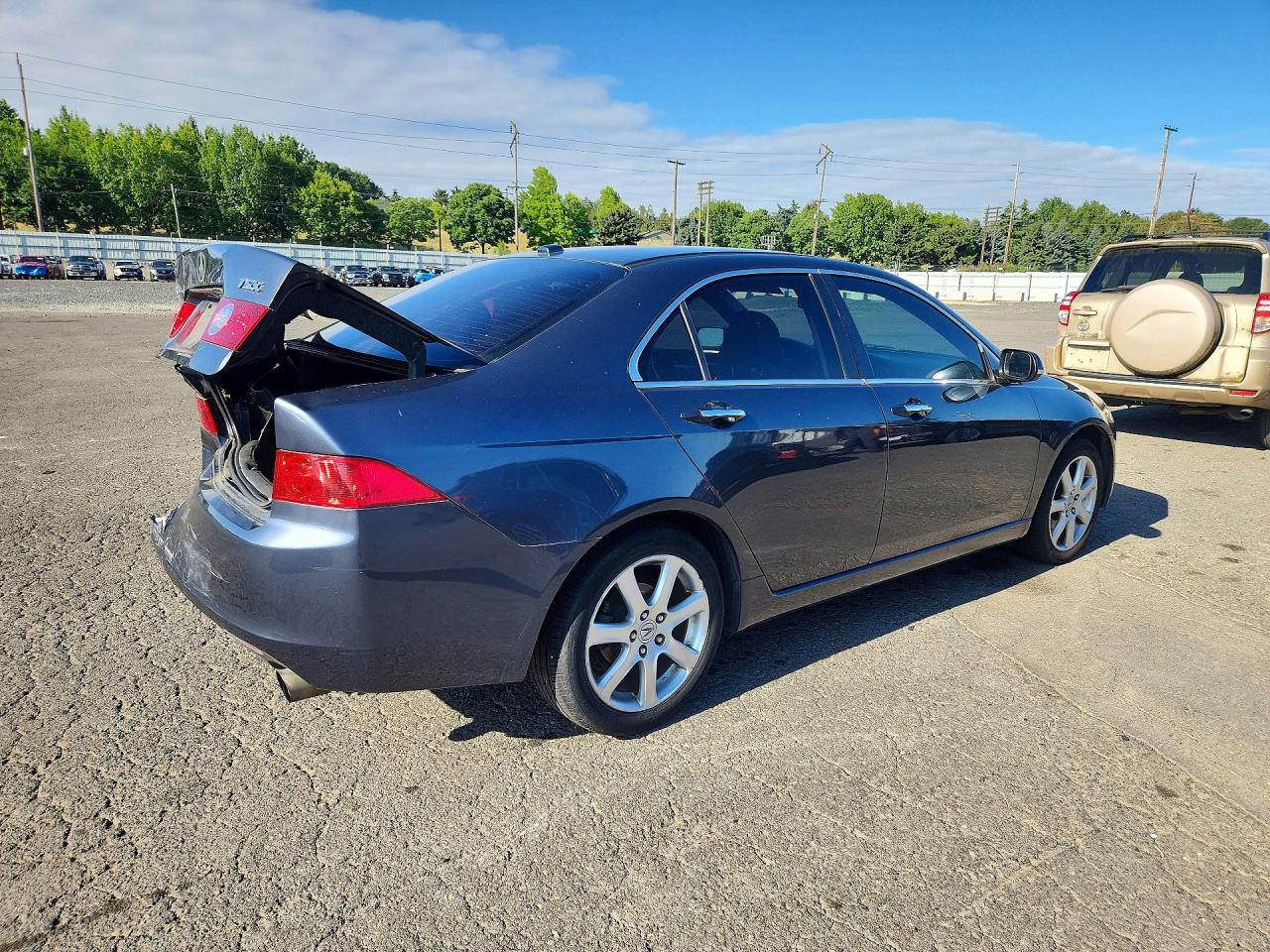 2005 Acura Tsx Серый vin: JH4CL96845C005910