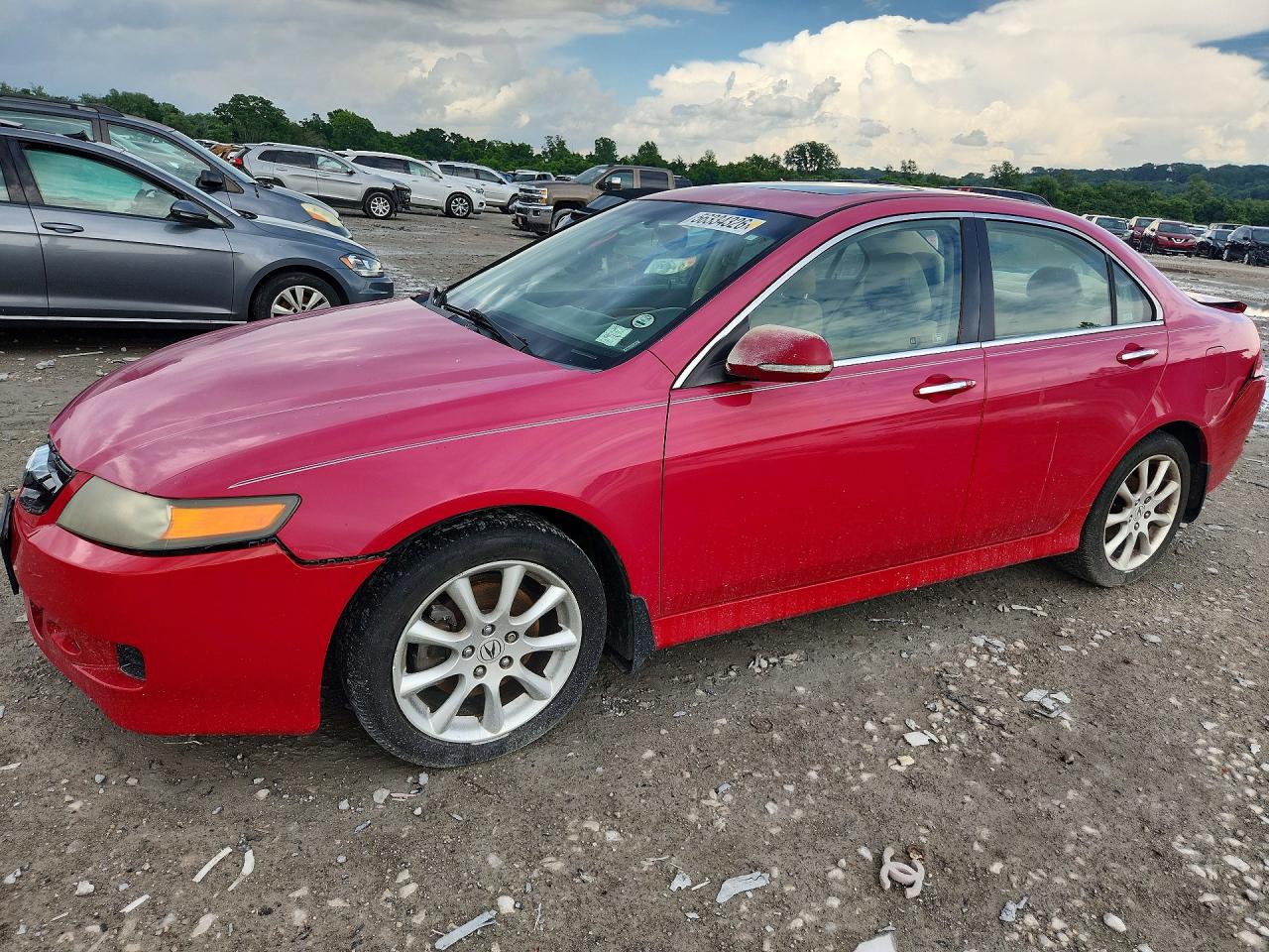 2006 Acura Tsx Red vin: JH4CL96846C000062
