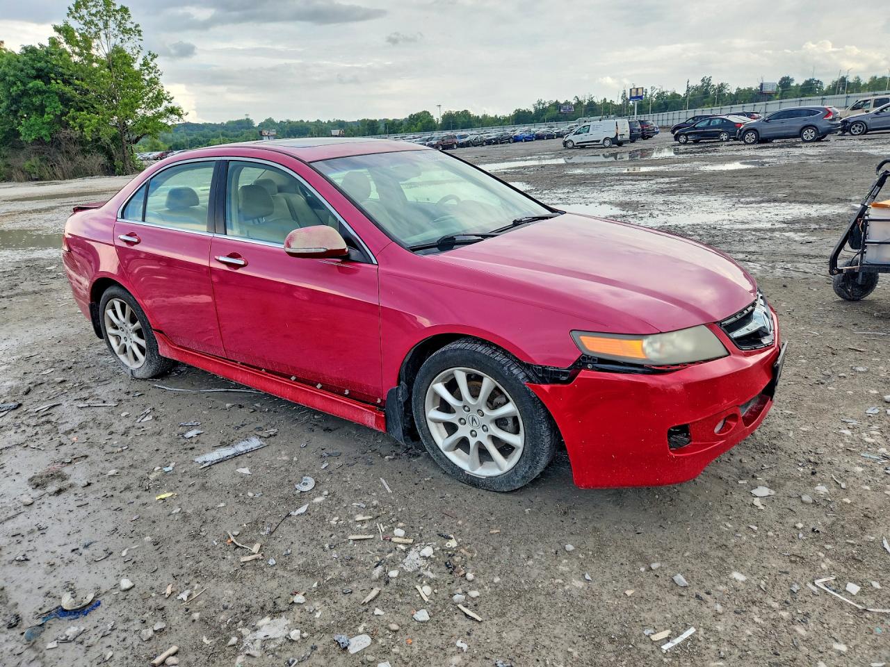 2006 Acura Tsx Red vin: JH4CL96846C000062