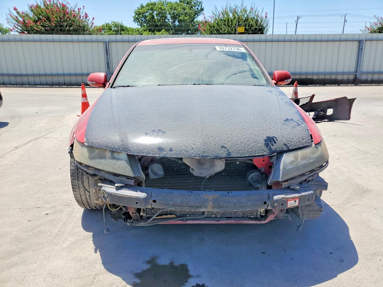 2006 Acura Tsx Two Tone vin: JH4CL96846C026645