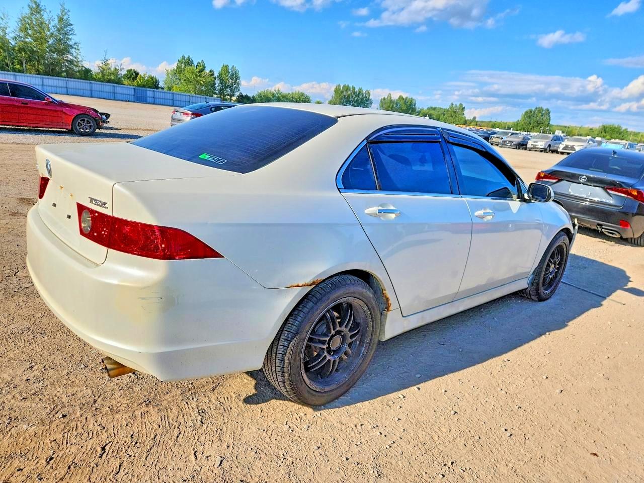 2006 Acura Tsx White vin: JH4CL96846C801851