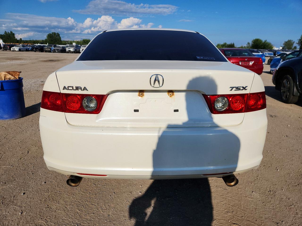 2006 Acura Tsx White vin: JH4CL96846C801851
