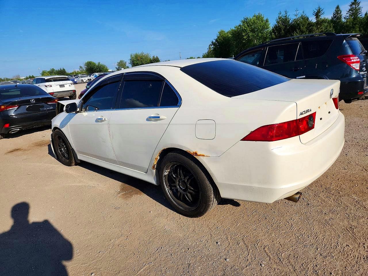 2006 Acura Tsx White vin: JH4CL96846C801851