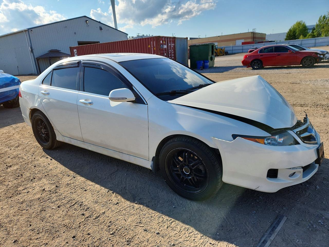 2006 Acura Tsx White vin: JH4CL96846C801851