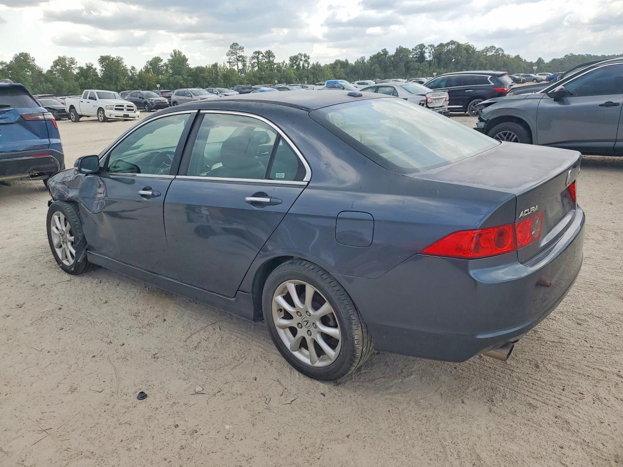 2007 Acura Tsx Blue vin: JH4CL96847C021446