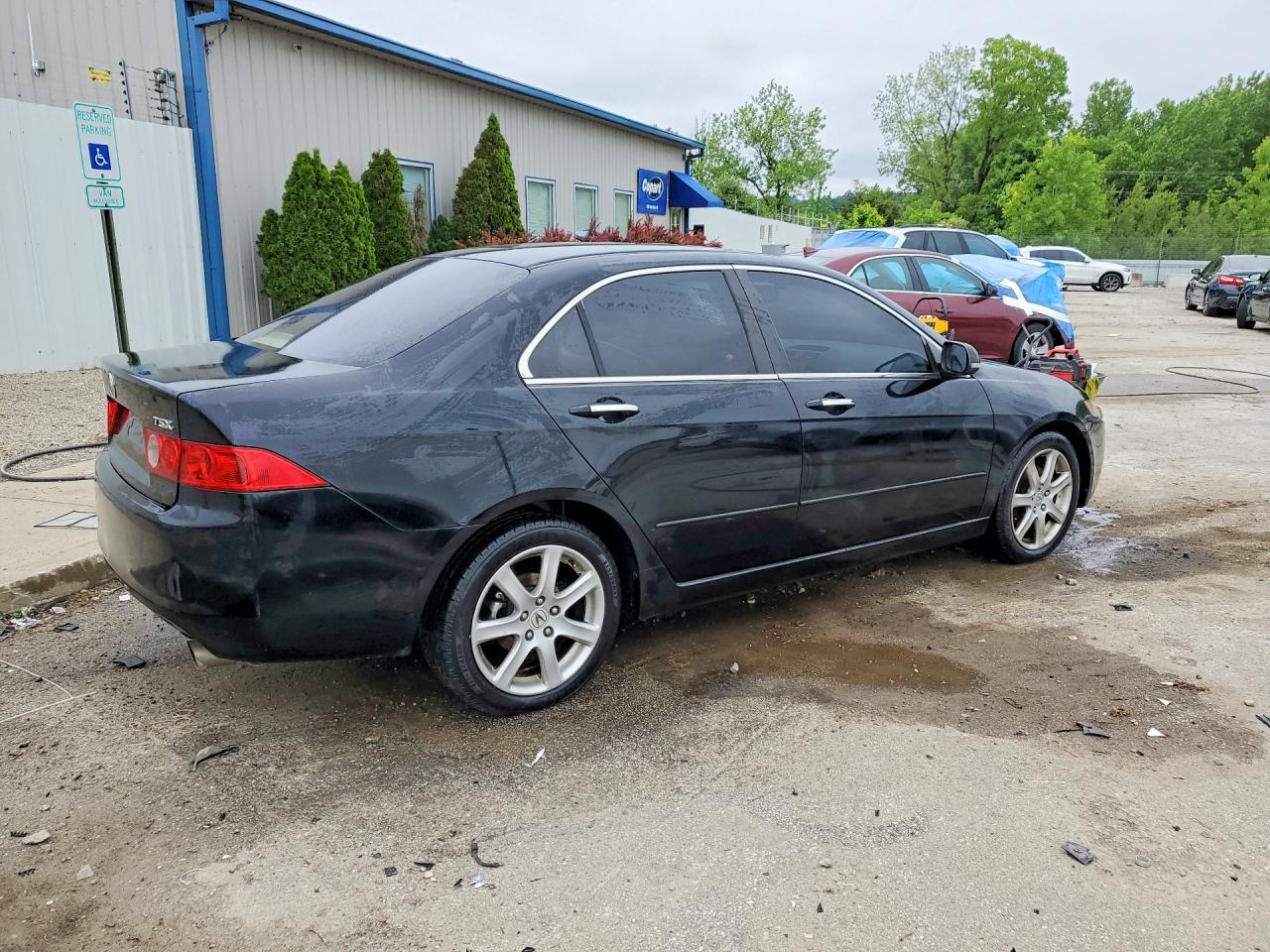2004 Acura Tsx Black vin: JH4CL96854C004506