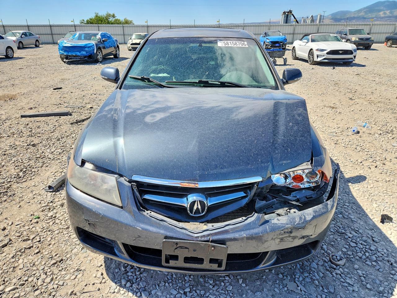 2004 Acura Tsx Black vin: JH4CL96854C029485