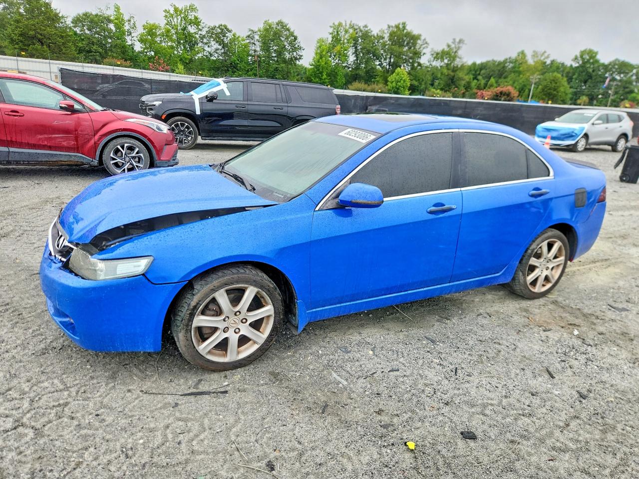 2004 Acura Tsx Blue vin: JH4CL96854C044827