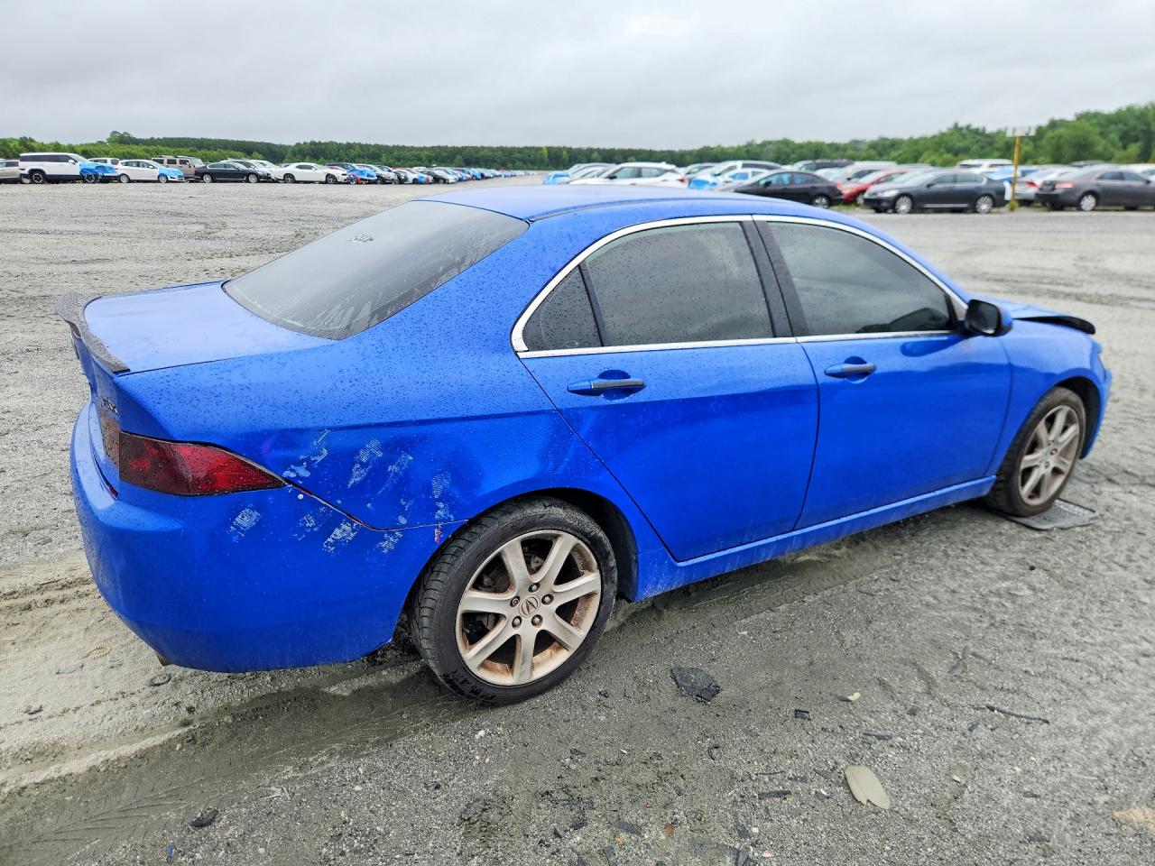 2004 Acura Tsx Blue vin: JH4CL96854C044827
