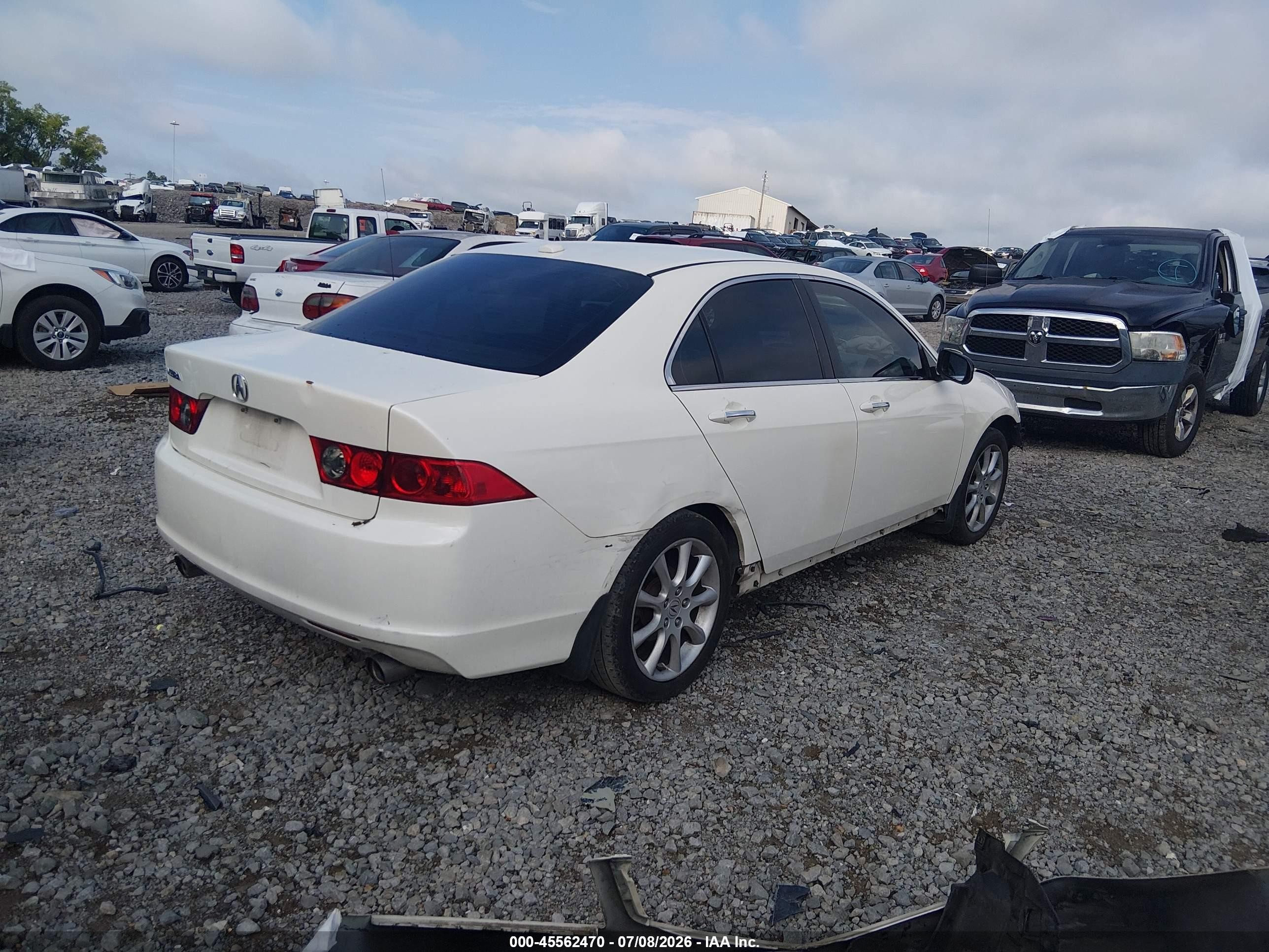 2006 Acura Tsx   White vin: JH4CL96856C022071