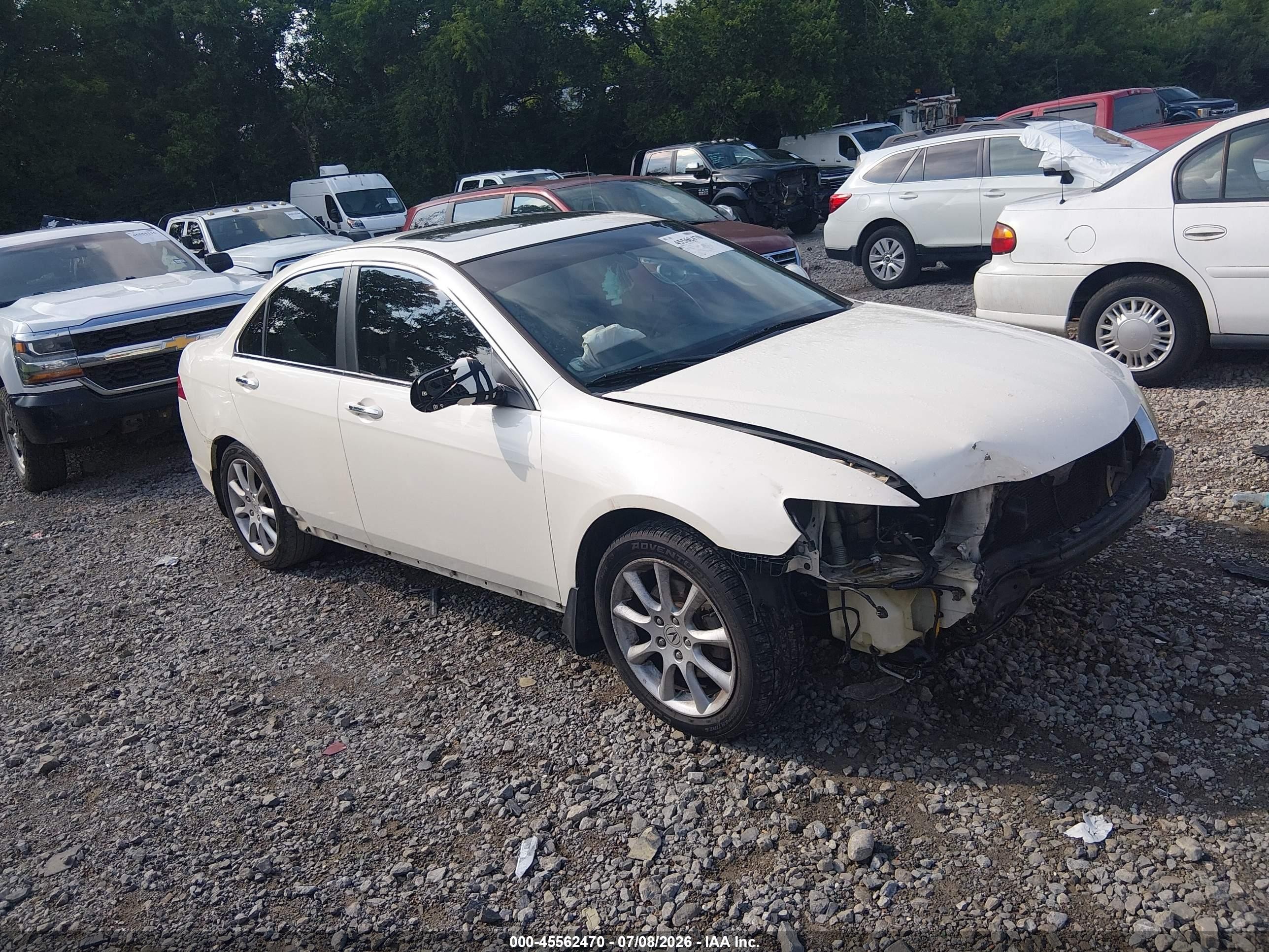 2006 Acura Tsx   White vin: JH4CL96856C022071