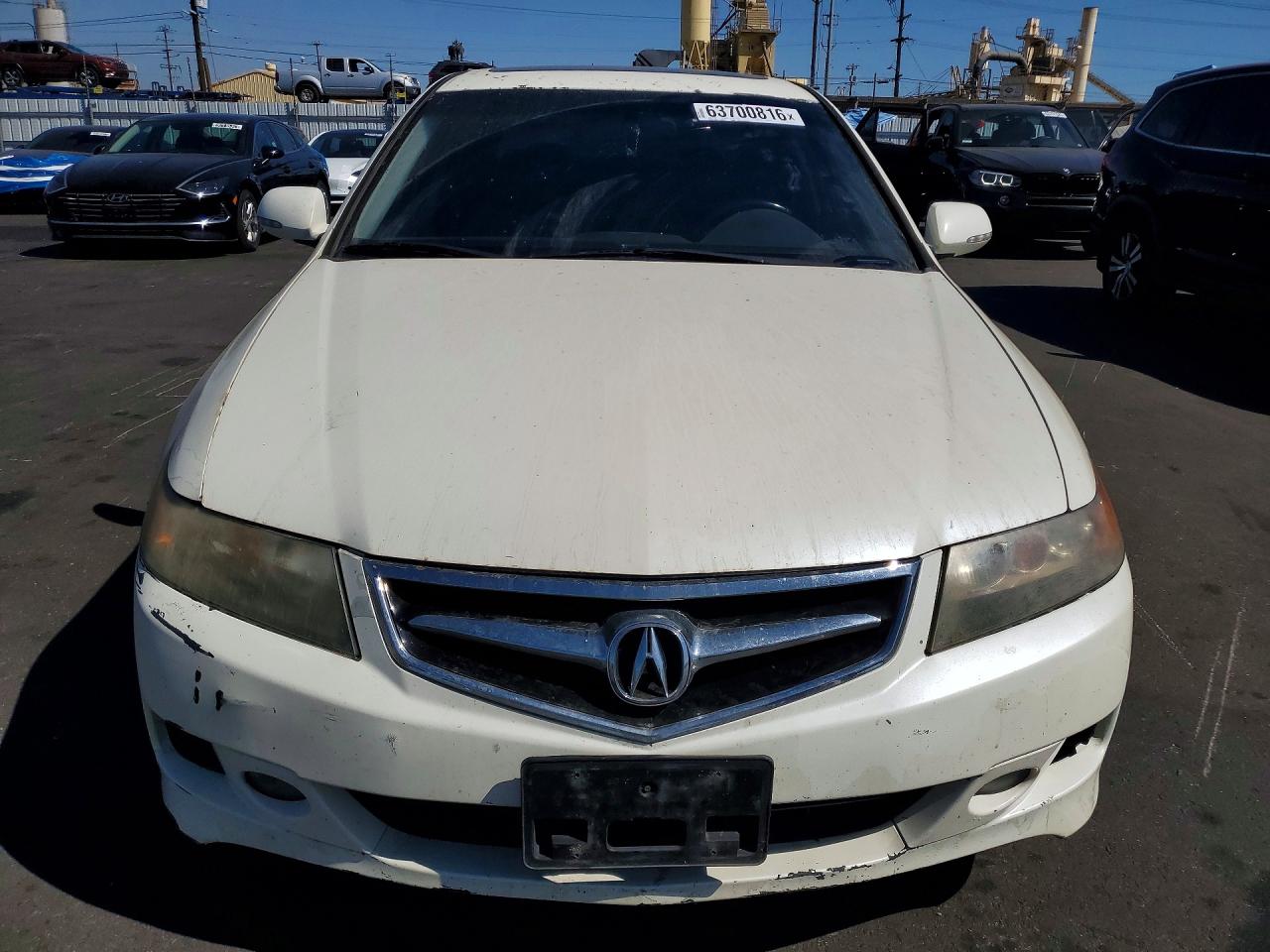 2006 Acura Tsx White vin: JH4CL96856C034124