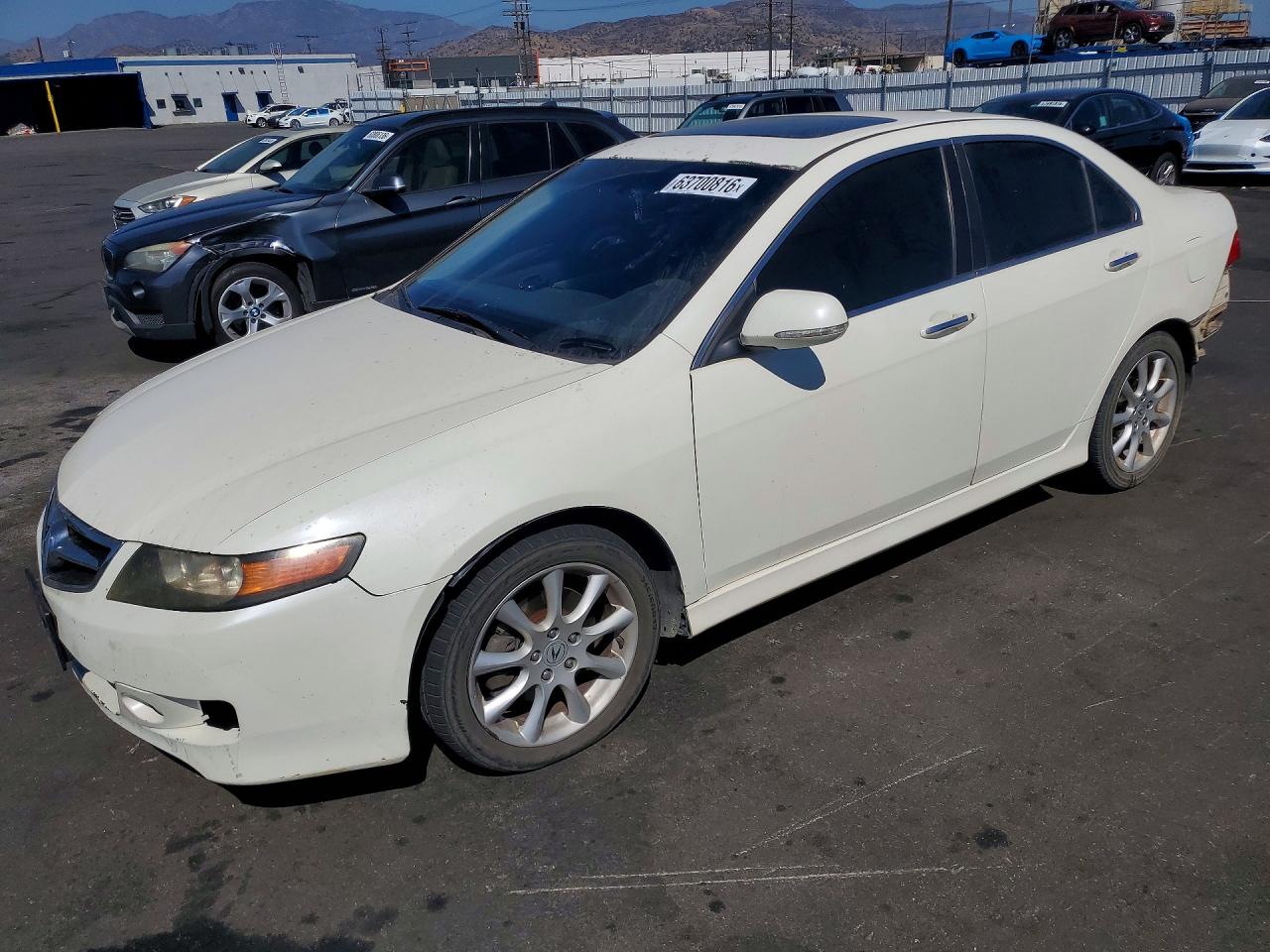 2006 Acura Tsx White vin: JH4CL96856C034124