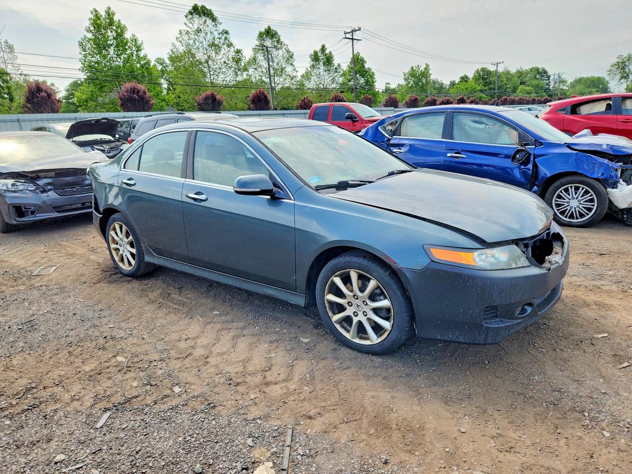 2008 Acura Tsx Green vin: JH4CL96858C015320