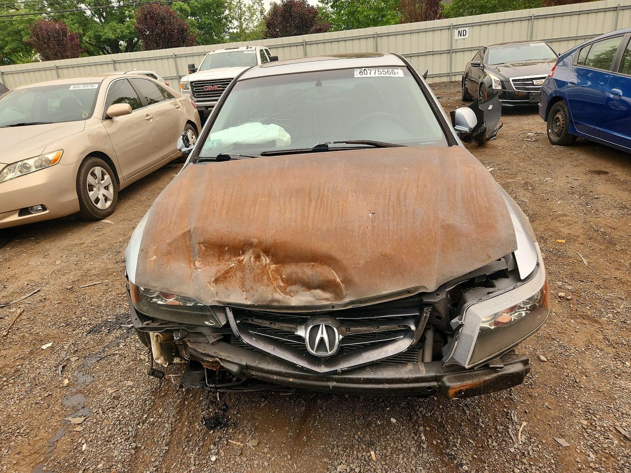 2004 Acura Tsx Teal vin: JH4CL96864C003638