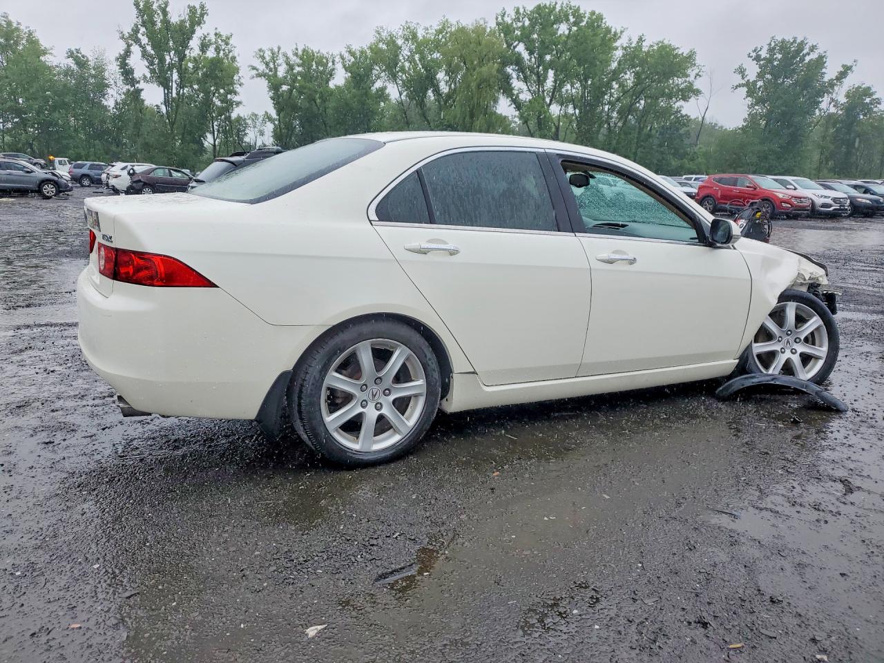 2004 Acura Tsx White vin: JH4CL96864C030998