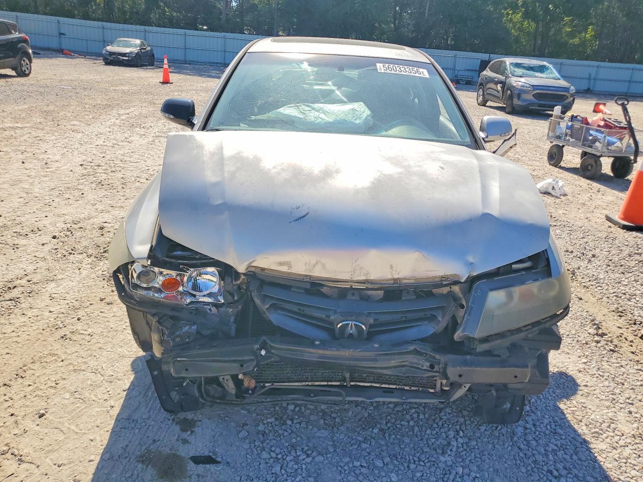 2004 Acura Tsx Silver vin: JH4CL96874C014227