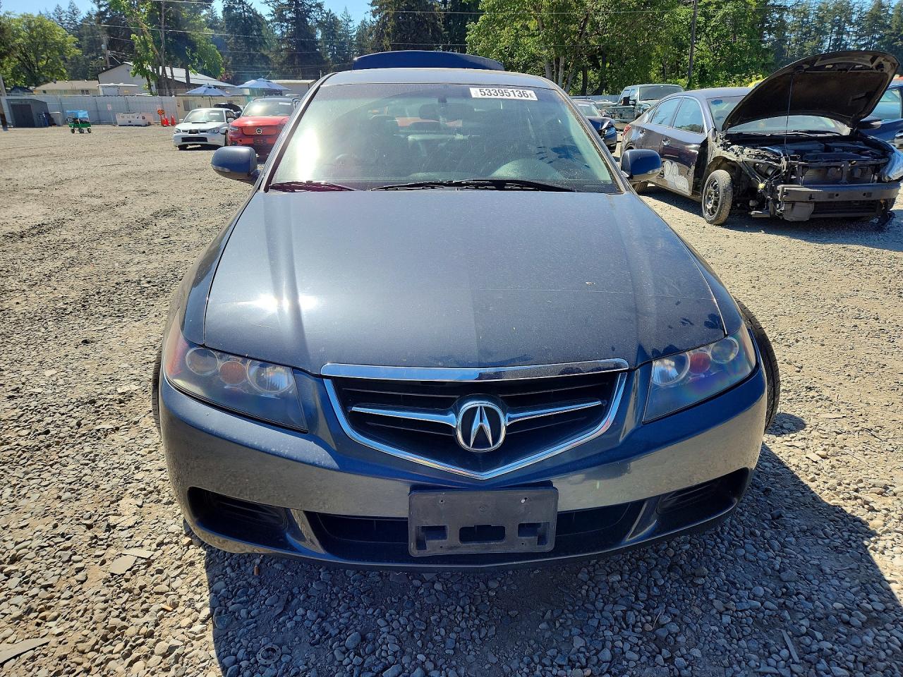 2005 Acura Tsx Gray vin: JH4CL96875C003939