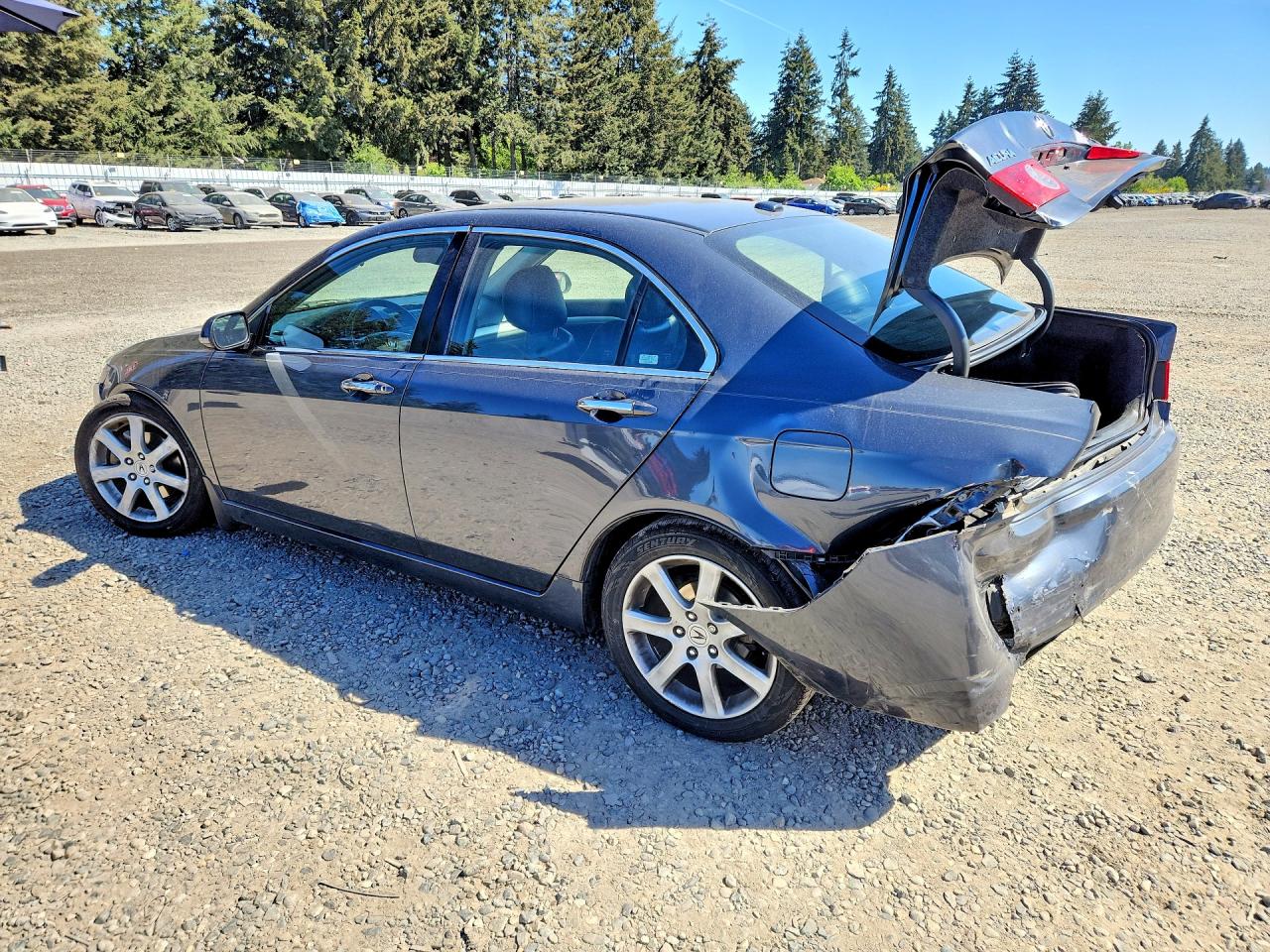 2005 Acura Tsx Gray vin: JH4CL96875C003939