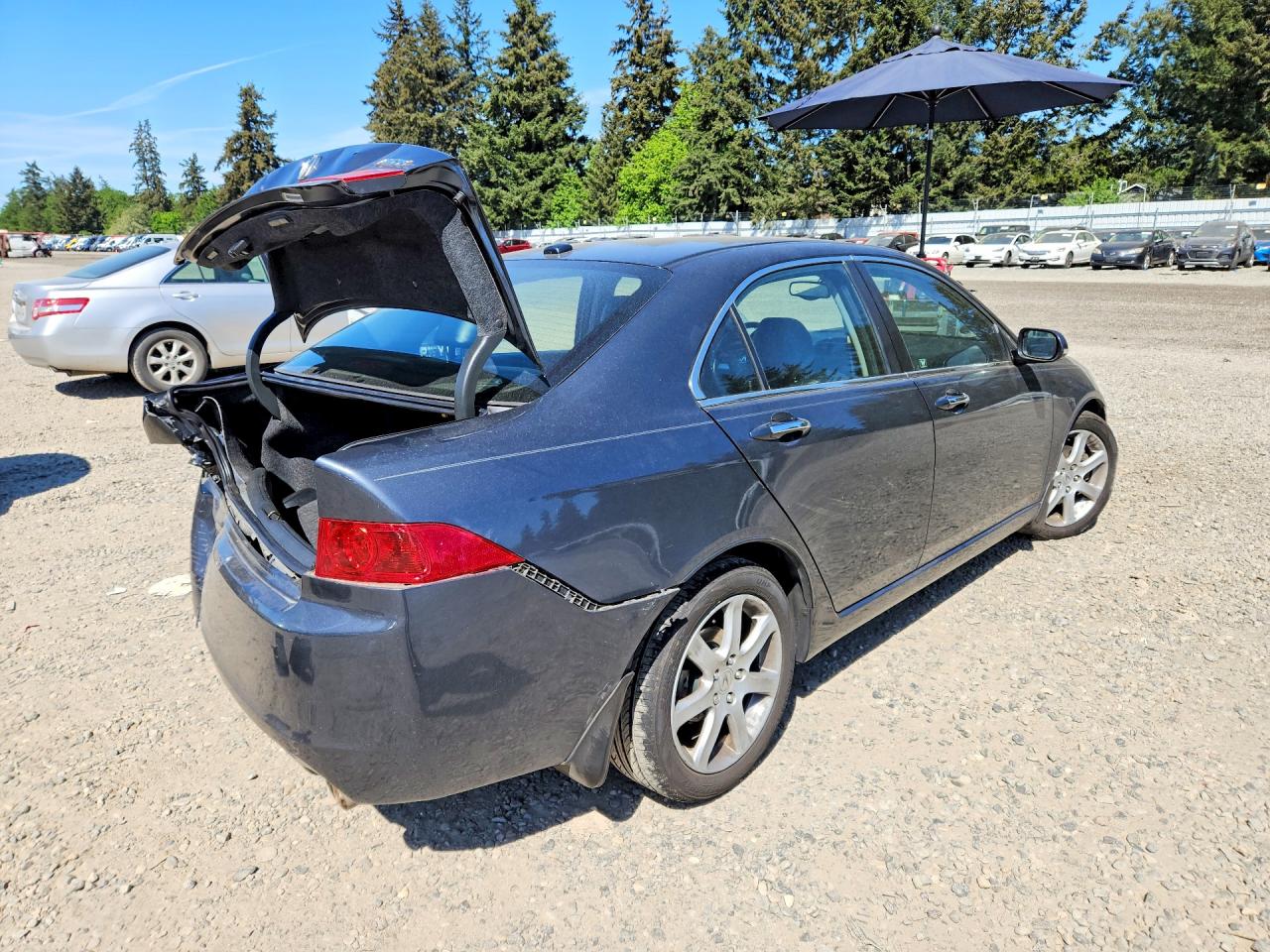 2005 Acura Tsx Gray vin: JH4CL96875C003939