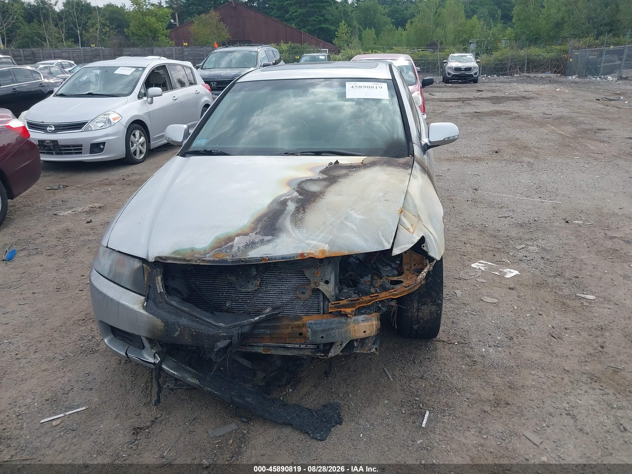 2005 Acura Tsx   Серебряный vin: JH4CL96875C021986