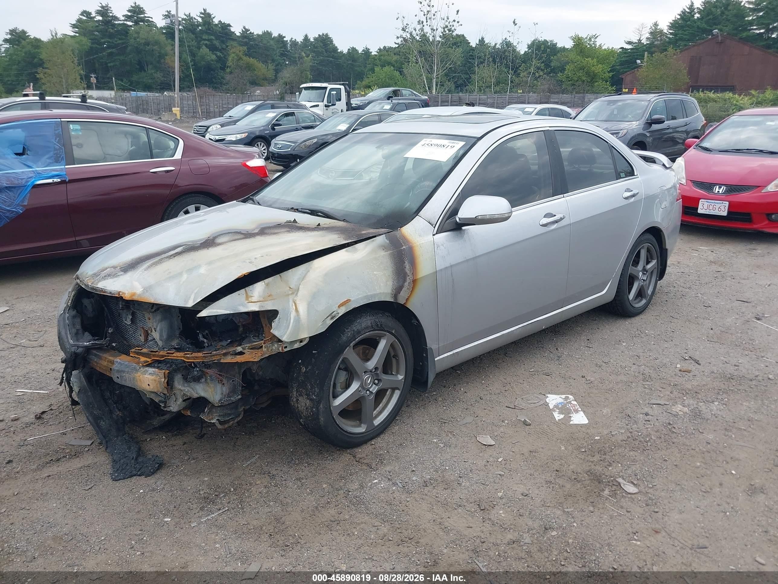 2005 Acura Tsx   Серебряный vin: JH4CL96875C021986