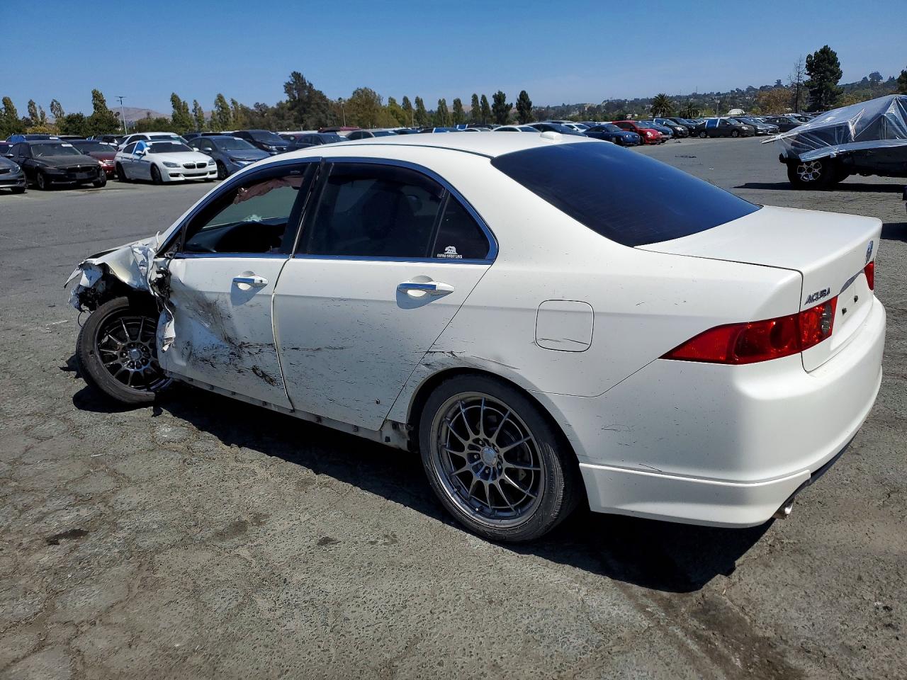2006 Acura Tsx White vin: JH4CL96876C015297