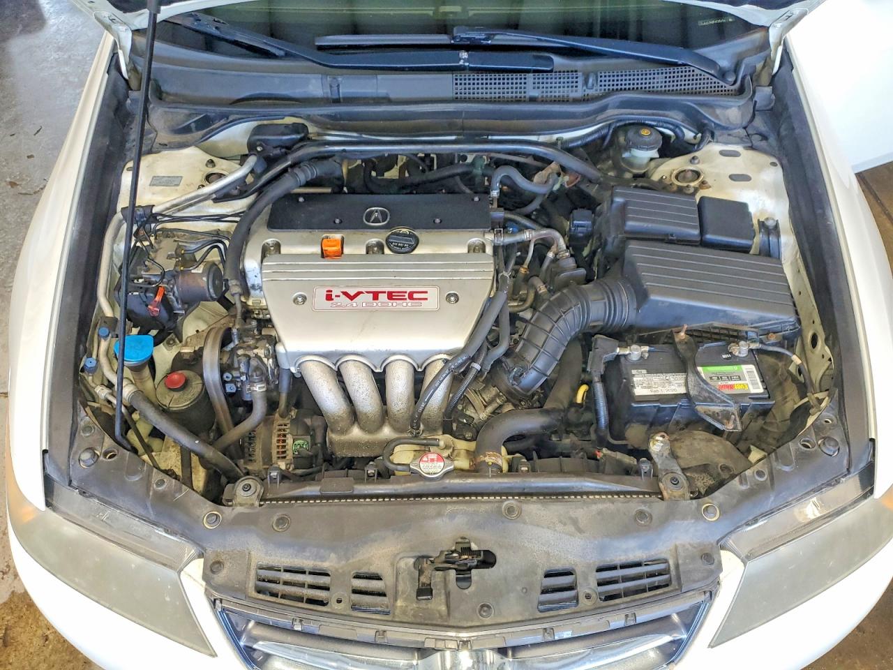 2006 Acura Tsx Белый vin: JH4CL96876C036134