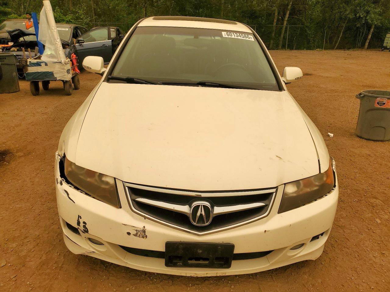 2006 Acura Tsx White vin: JH4CL96876C801472