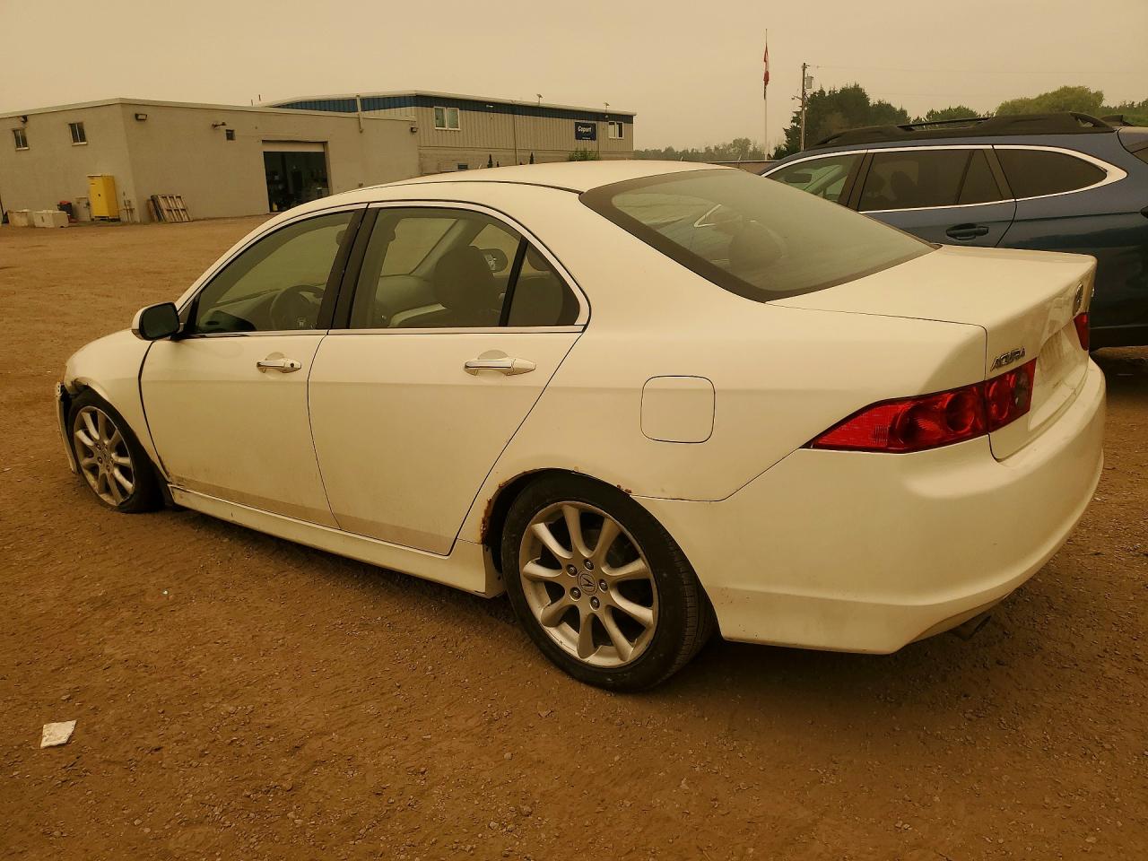 2006 Acura Tsx White vin: JH4CL96876C801472