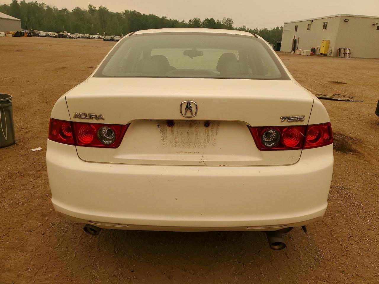 2006 Acura Tsx White vin: JH4CL96876C801472