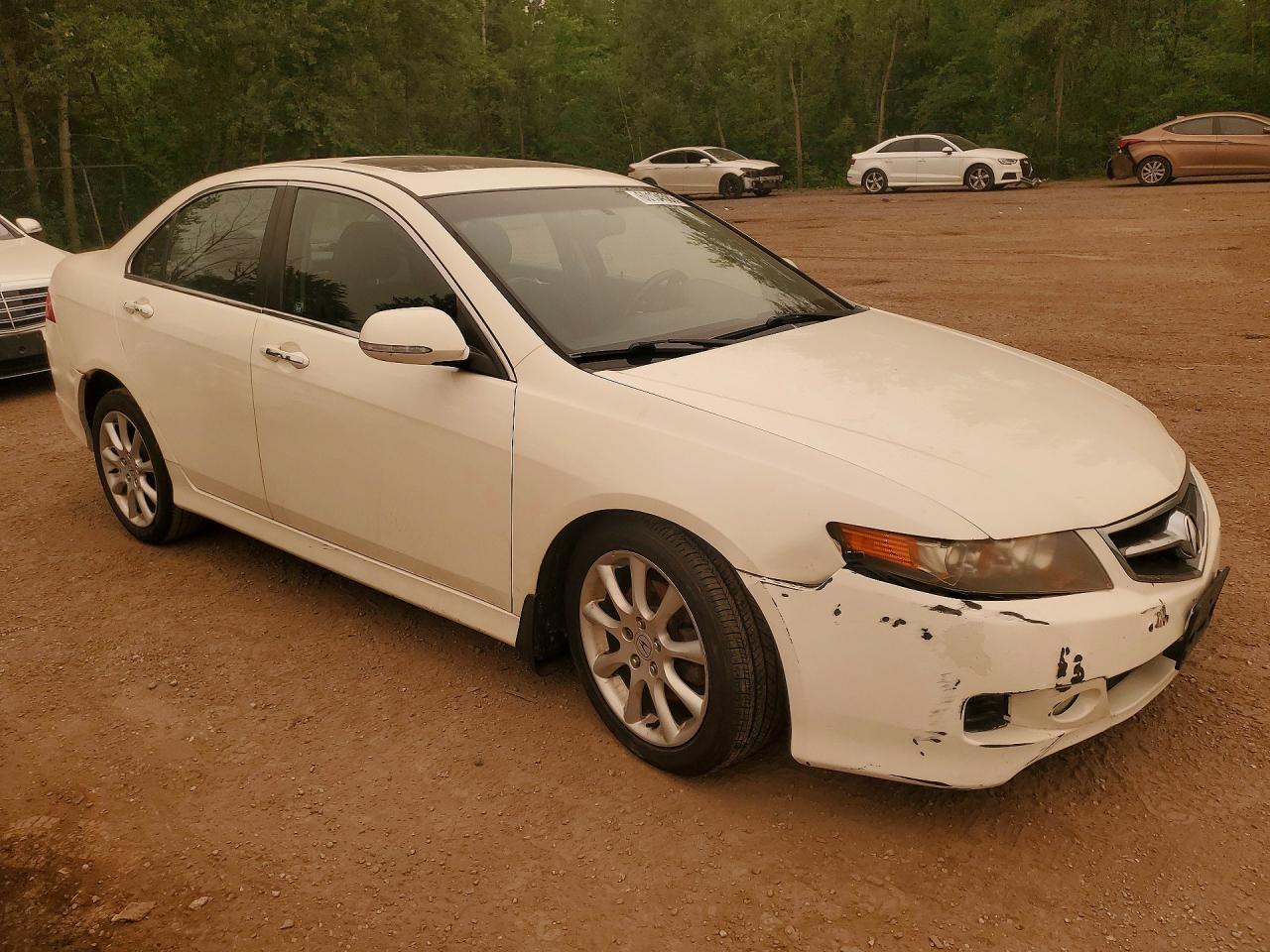 2006 Acura Tsx White vin: JH4CL96876C801472
