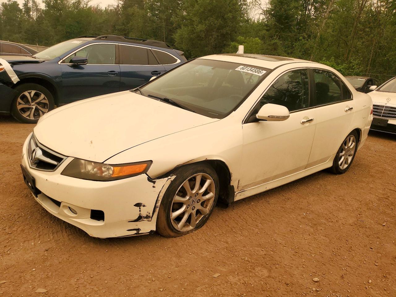 2006 Acura Tsx White vin: JH4CL96876C801472