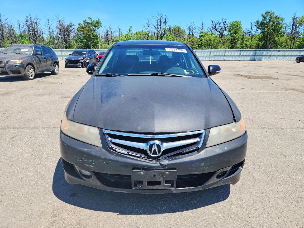 2008 Acura Tsx Black vin: JH4CL96878C012497