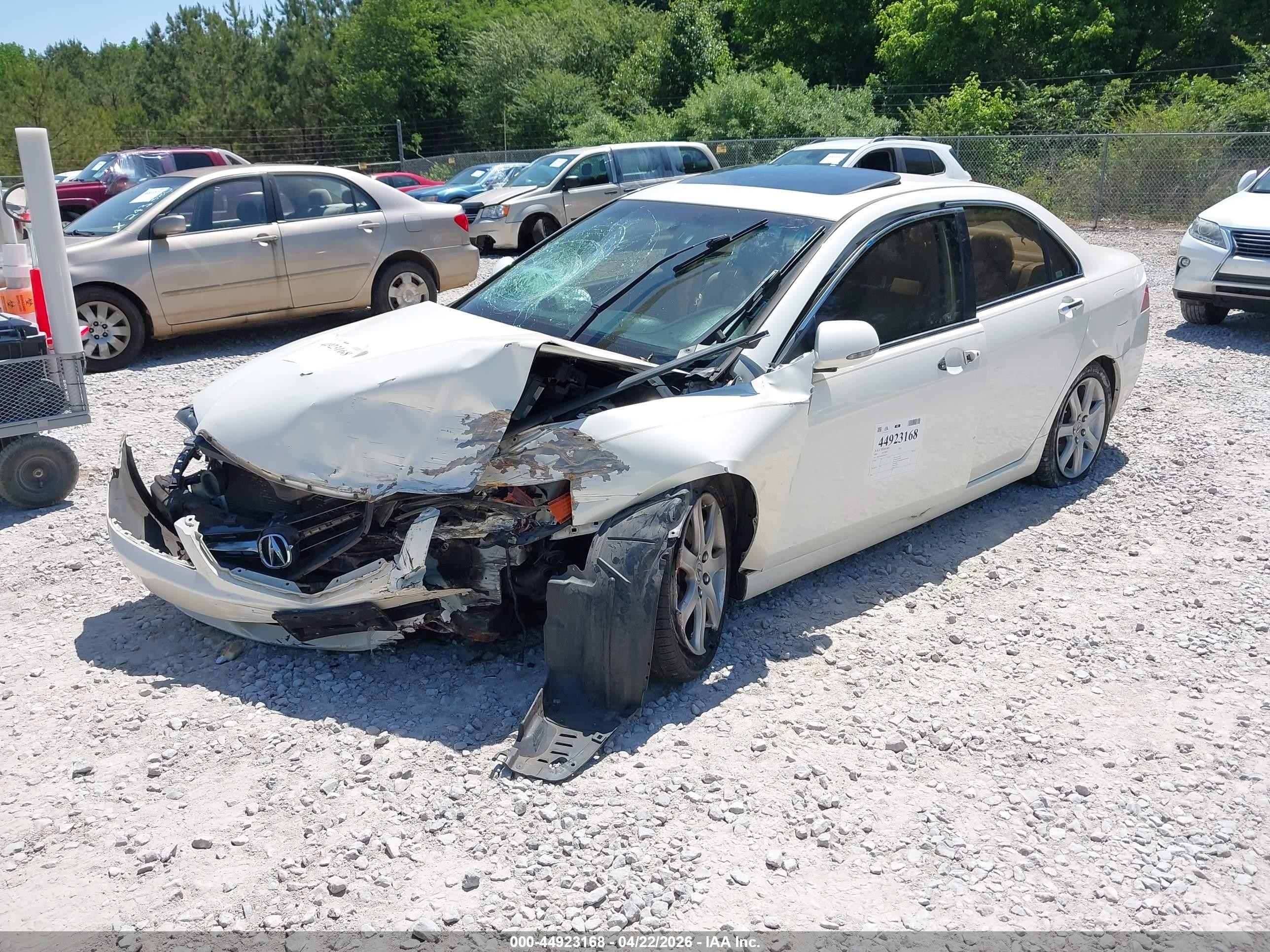 2004 Acura Tsx   White vin: JH4CL96884C022207