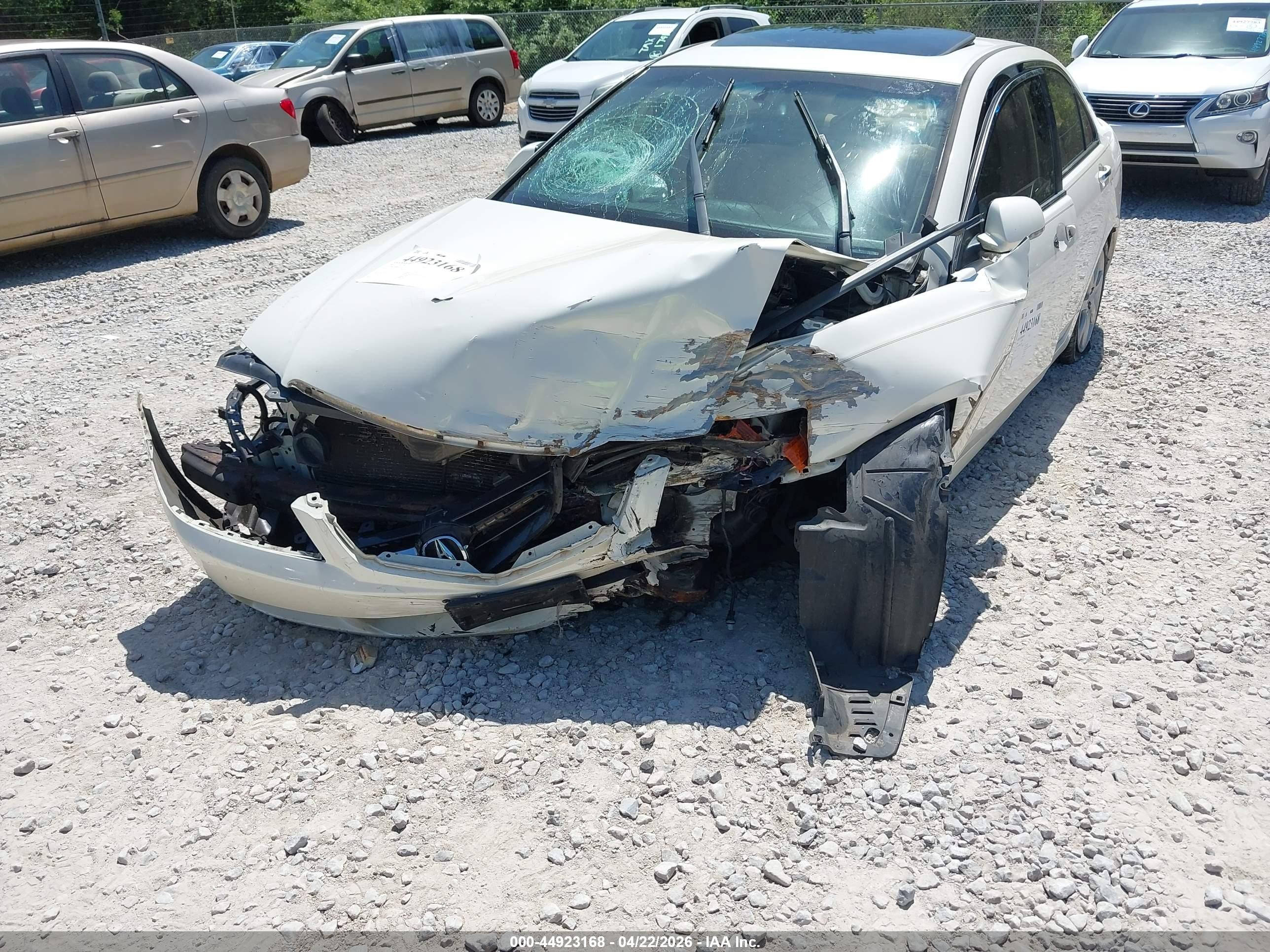 2004 Acura Tsx   White vin: JH4CL96884C022207