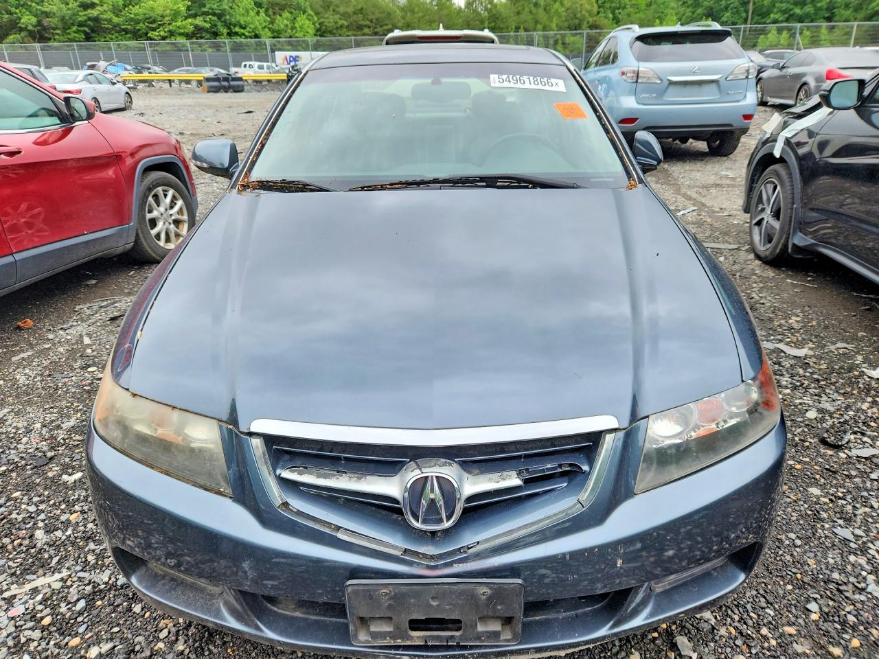2005 Acura Tsx Gray vin: JH4CL96885C005117