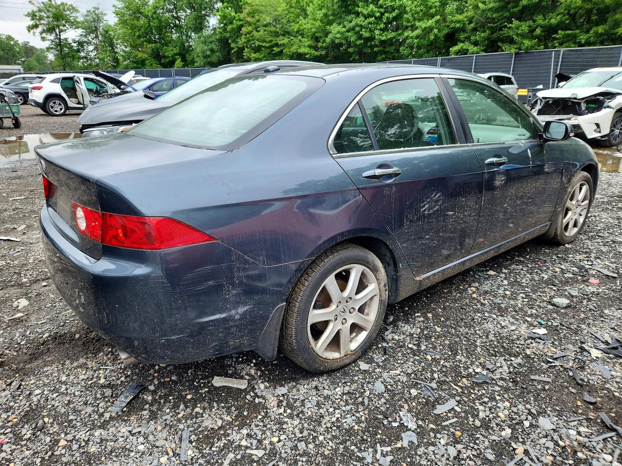2005 Acura Tsx Gray vin: JH4CL96885C005117