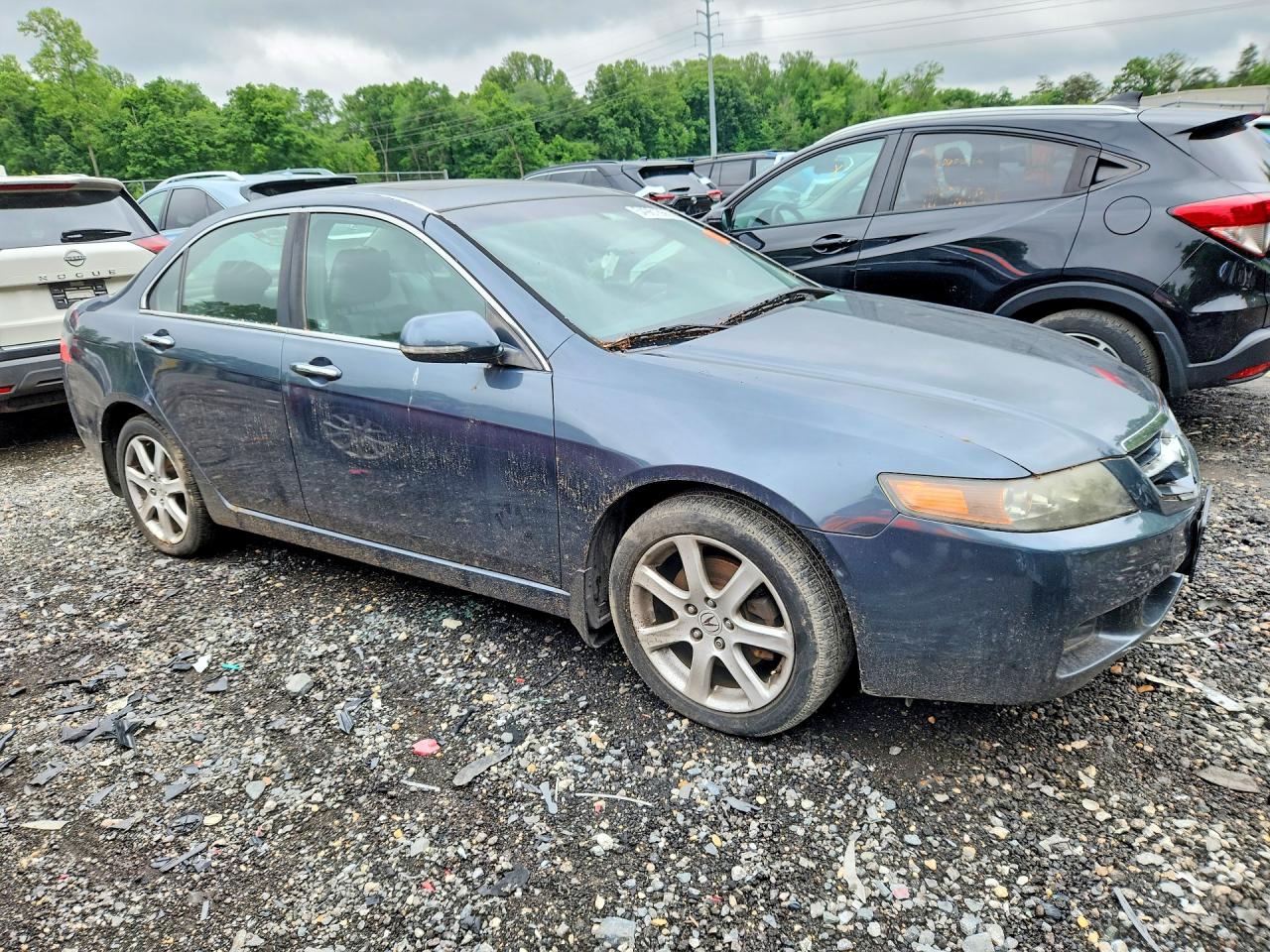 2005 Acura Tsx Gray vin: JH4CL96885C005117