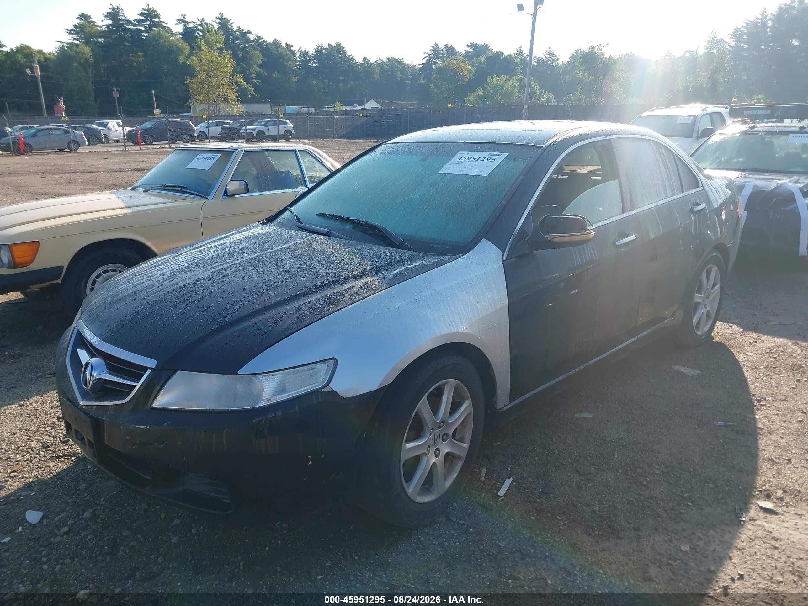 2005 Acura Tsx Black vin: JH4CL96885C021477